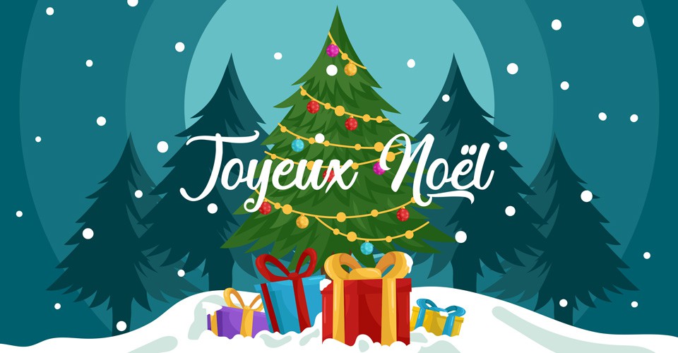 Vacances du blog du droit électoral : joyeuses fêtes de Noël !